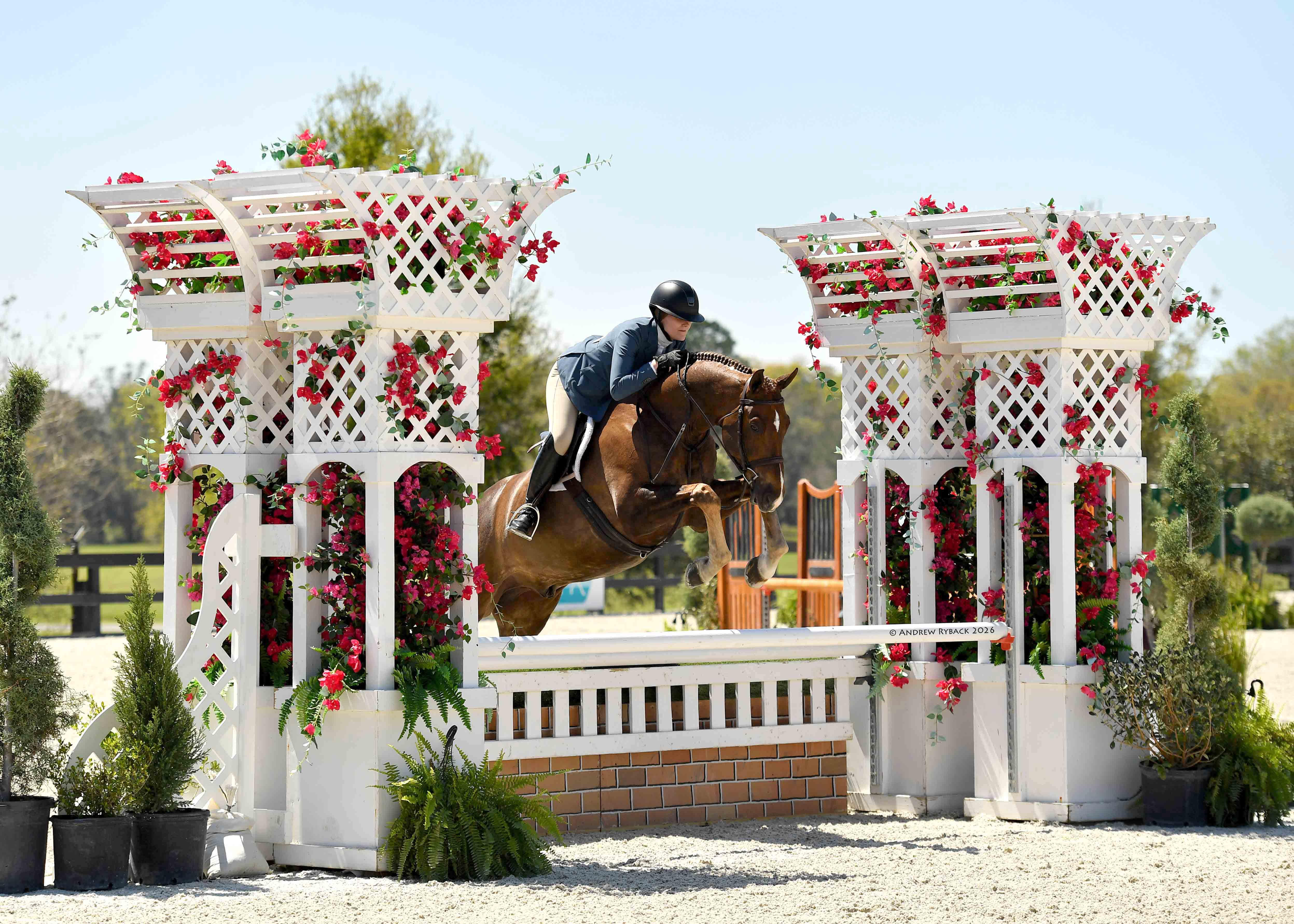 Hunter going over a flower-filled jump at the World Equestrian Center in Ocala, Florida